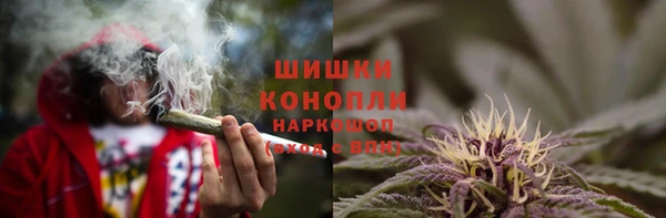 сатива Навашино