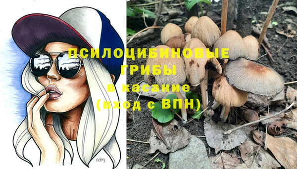 сатива Навашино