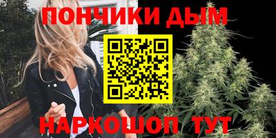 сатива Гатчина