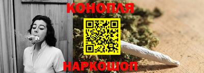 spice Гай