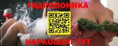 сатива Гатчина