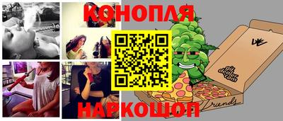 сатива Гатчина