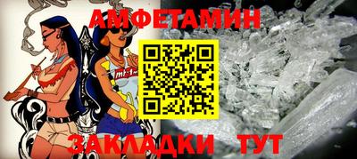 сатива Гатчина