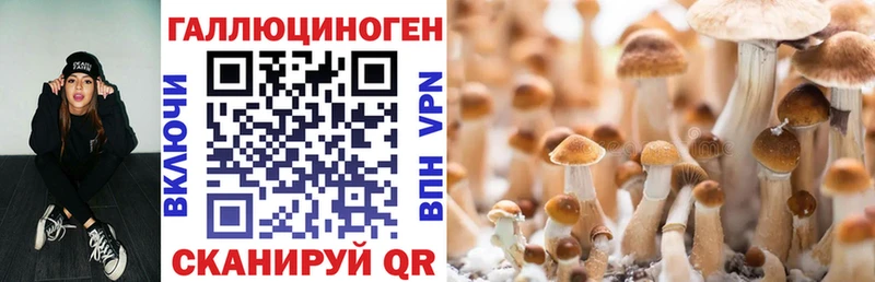 Псилоцибиновые грибы MAGIC MUSHROOMS  Мурманск 