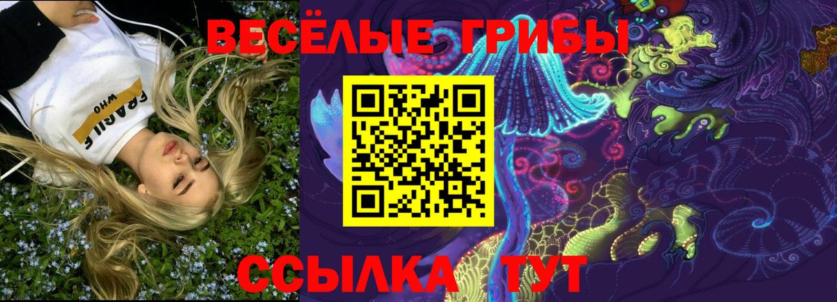 Мурманск  как найти закладки  Вход с VPN  Галлюциногенные грибы мухоморы 
