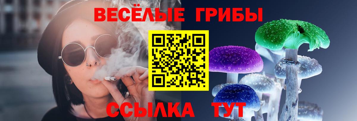 Псилоцибиновые грибы Cubensis Мурманск